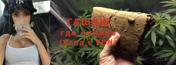 твердый Богданович