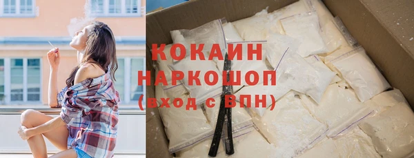твердый Богданович