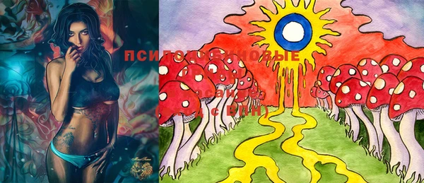 MDMA Богородск