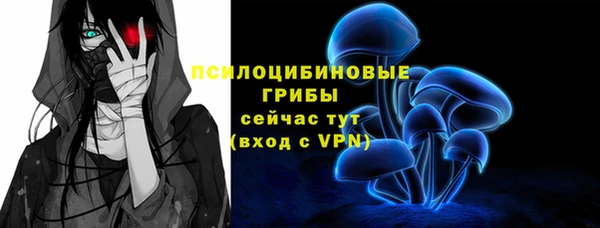 твердый Богданович
