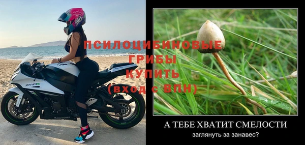 твердый Богданович
