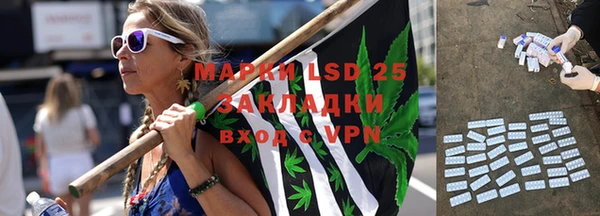 твердый Богданович